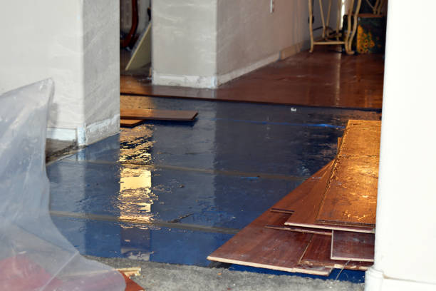 Professional Water Extraction technician working in Brentwood, CA
